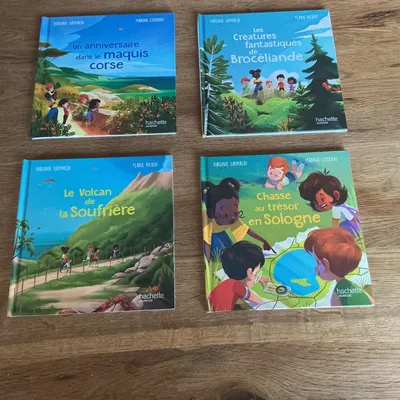 4 livres collection Merveilles’de France